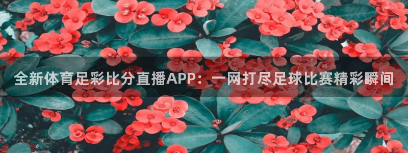 咪咕视频体育直播app下载：全新体育足彩比分直播APP：一网打尽足球比赛精彩瞬间