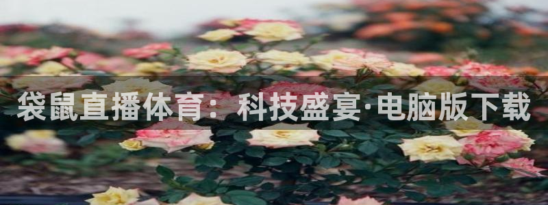 咪咕视频体育直播nba