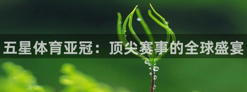 咪咕视频体育直播收费吗：五星体育亚冠：顶尖赛事的全球盛宴