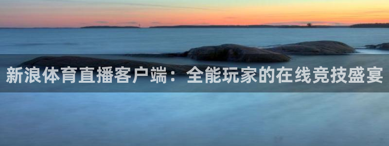 咪咕视频-上咪咕看英超：新浪体育直播客户端：全能玩家的在线竞技盛宴