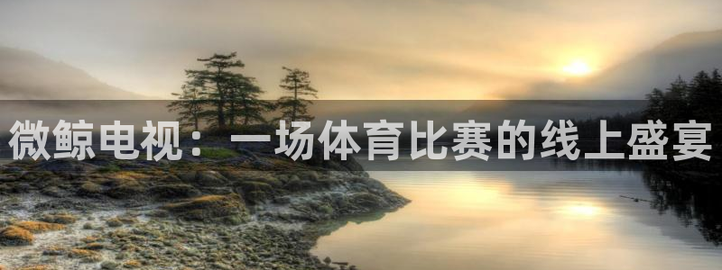 下载咪咕体育视频：微鲸电视：一场体育比赛的线上盛宴