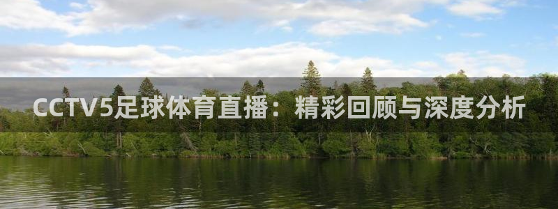 咪咕直播免费观看：CCTV5足球体育直播：精彩回顾与深度分析
