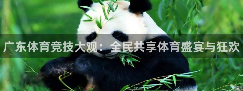咪咕视频app：广东体育竞技大观：全民共享体育盛宴与狂欢