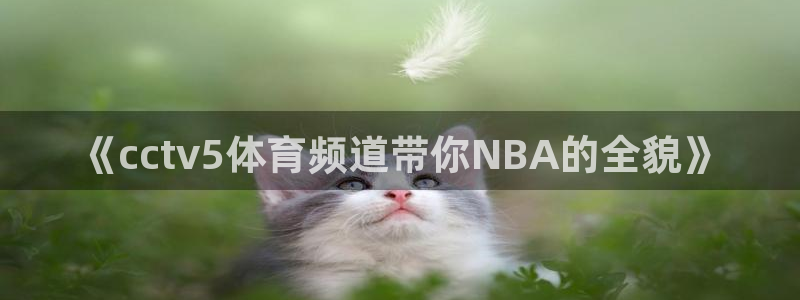 咪咕视频体育直播郑钦文今天：《cctv5体育频道带你NBA的全貌》