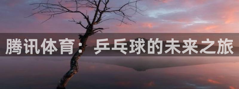 咪咕视频体育直播在线观看：腾讯体育：乒乓球的未来之旅